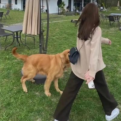 酷哥炫妹也疯狂